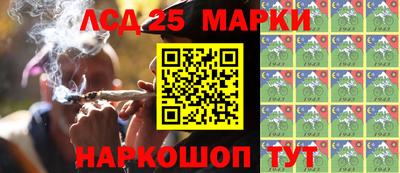 гидропоника Шелехов