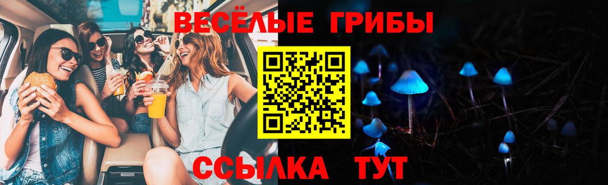 Псилоцибиновые грибы прущие грибы  Вход с VPN  где купить наркоту  Рязань 
